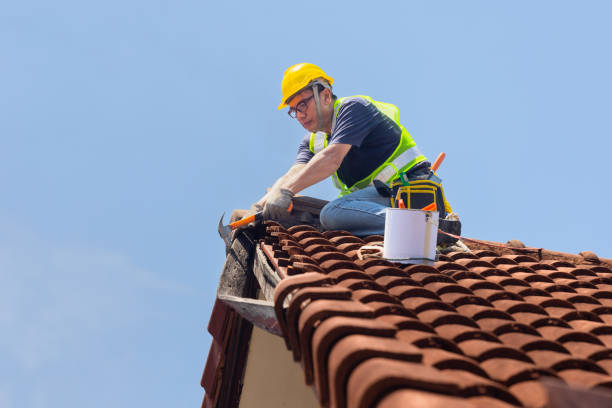 Mold Inspection