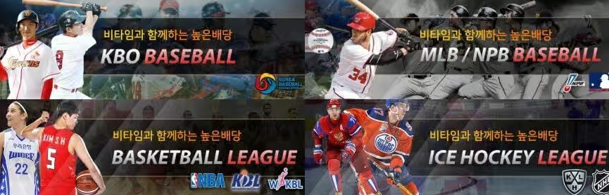 비타민토토